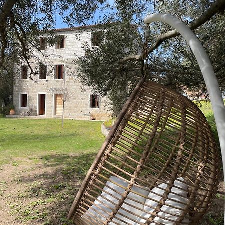 Domaine De Tappa - Casa Filicina Villa Sollacaro Eksteriør billede