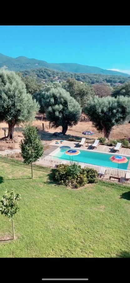 Domaine De Tappa - Casa Filicina Villa Sollacaro Eksteriør billede