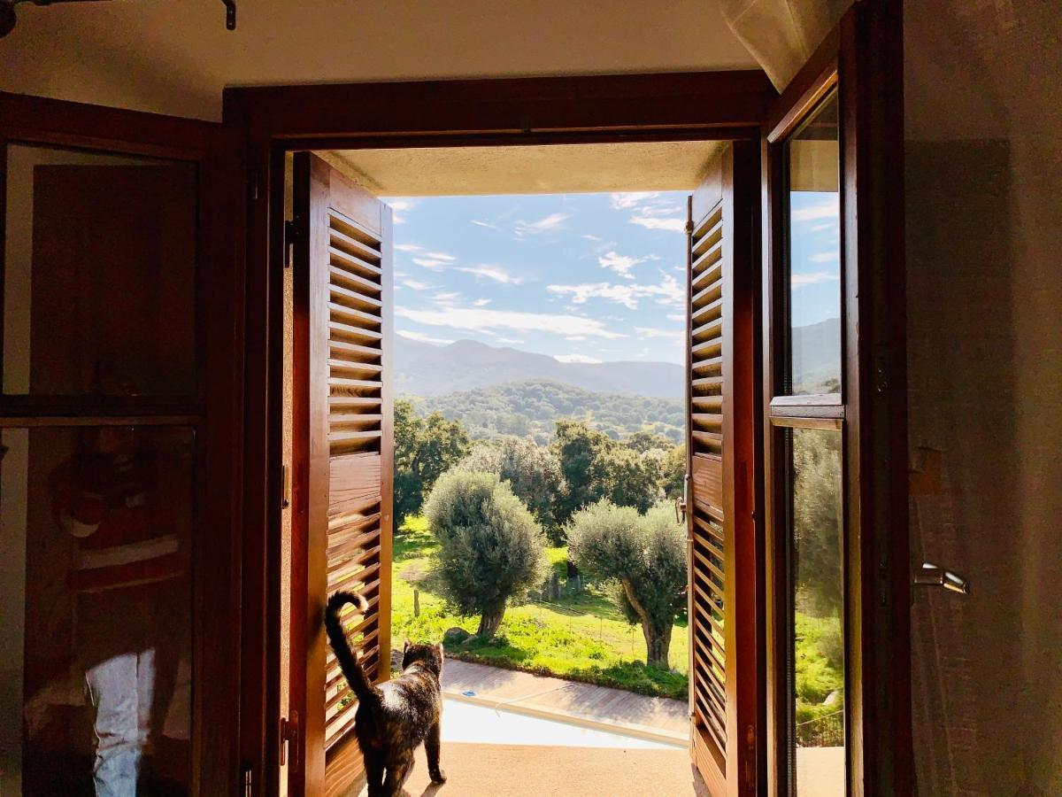 Domaine De Tappa - Casa Filicina Villa Sollacaro Eksteriør billede