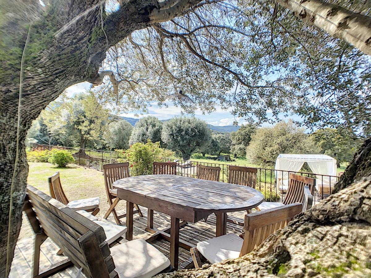 Domaine De Tappa - Casa Filicina Villa Sollacaro Eksteriør billede