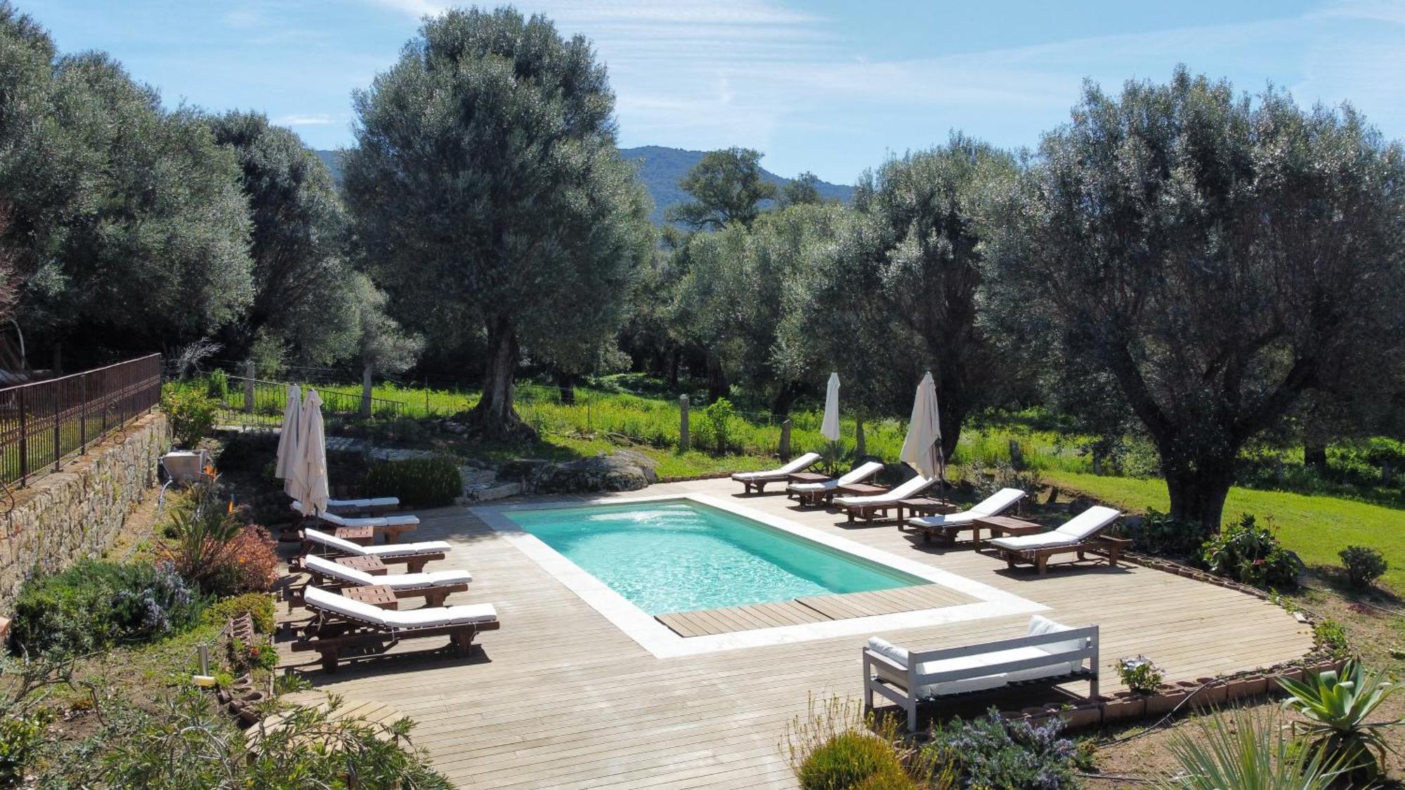 Domaine De Tappa - Casa Filicina Villa Sollacaro Eksteriør billede