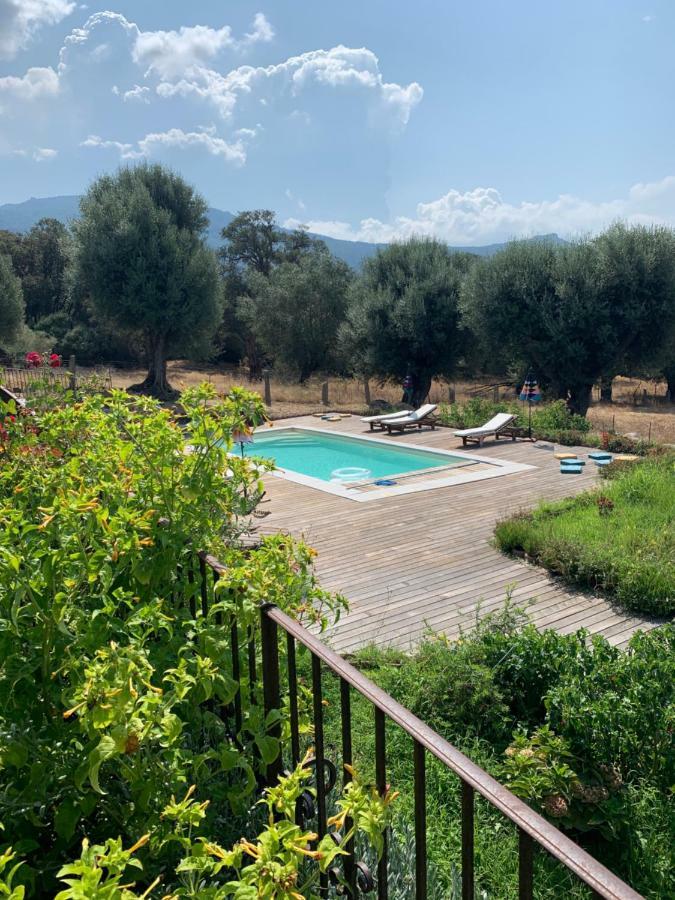 Domaine De Tappa - Casa Filicina Villa Sollacaro Eksteriør billede