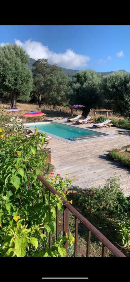 Domaine De Tappa - Casa Filicina Villa Sollacaro Eksteriør billede